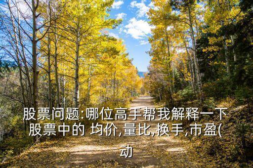  股票問題:哪位高手幫我解釋一下 股票中的 均價(jià),量比,換手,市盈(動(dòng)