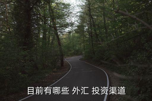 最權威的外匯投資理財,外匯托管投資理財合法嗎?