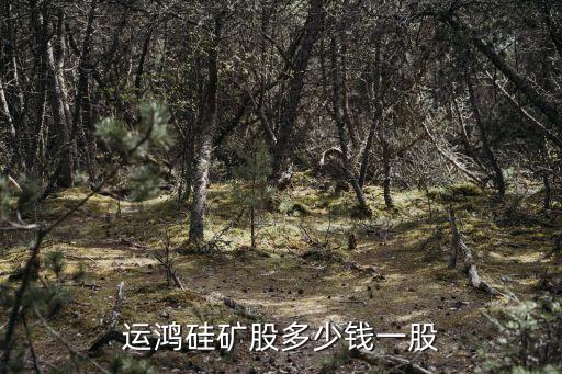 運(yùn)鴻硅礦股多少錢一股