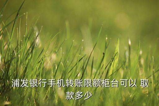  浦發(fā)銀行手機轉賬限額柜臺可以 取款多少