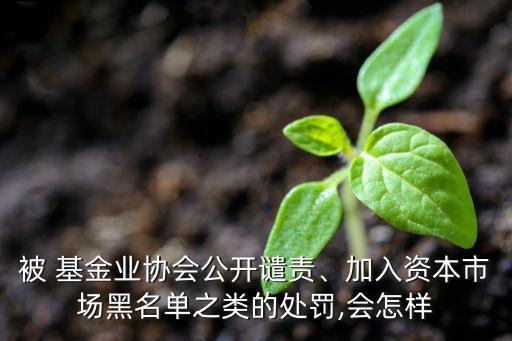 被 基金業(yè)協(xié)會(huì)公開譴責(zé)、加入資本市場黑名單之類的處罰,會(huì)怎樣