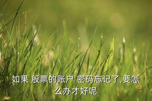 如果 股票的賬戶(hù) 密碼忘記了,要怎么辦才好呢