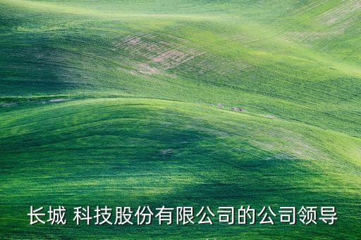  長城 科技股份有限公司的公司領導