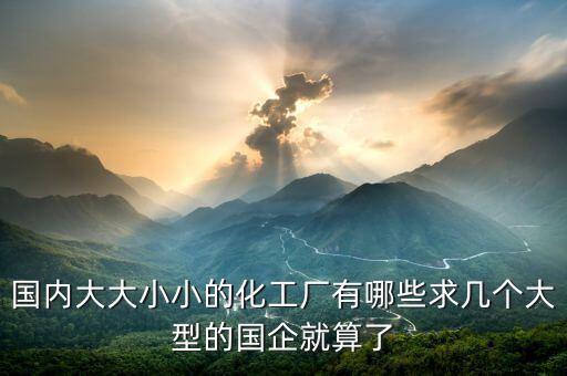 國內大大小小的化工廠有哪些求幾個大型的國企就算了