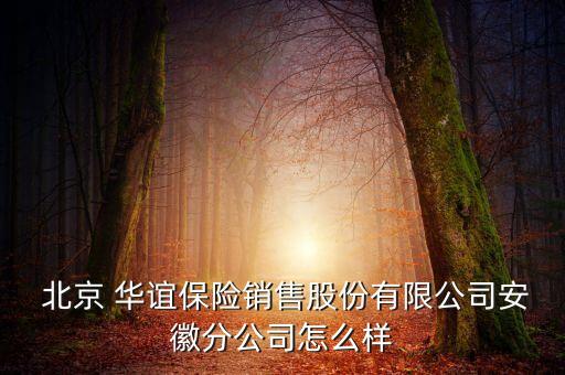  北京 華誼保險銷售股份有限公司安徽分公司怎么樣