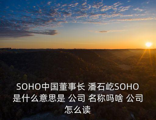 SOHO中國(guó)董事長(zhǎng) 潘石屹SOHO是什么意思是 公司 名稱嗎啥 公司怎么讀