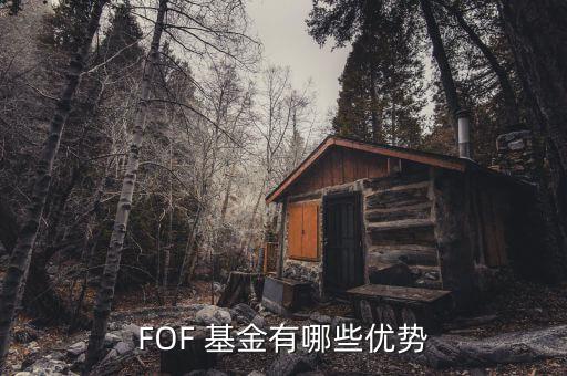 FOF 基金有哪些優(yōu)勢(shì)