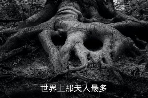 中國人口最高峰為多少