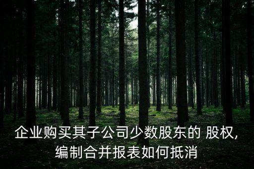 企業(yè)購買其子公司少數股東的 股權,編制合并報表如何抵消