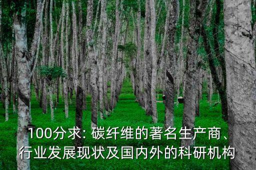 100分求: 碳纖維的著名生產(chǎn)商、行業(yè)發(fā)展現(xiàn)狀及國內(nèi)外的科研機構(gòu)