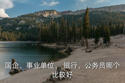 國(guó)企、事業(yè)單位、 銀行、公務(wù)員哪個(gè)比較好