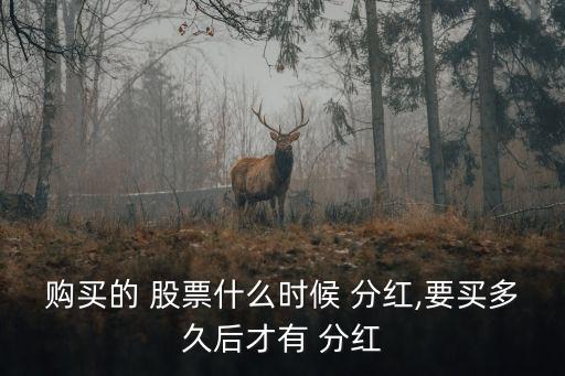 購(gòu)買(mǎi)的 股票什么時(shí)候 分紅,要買(mǎi)多久后才有 分紅