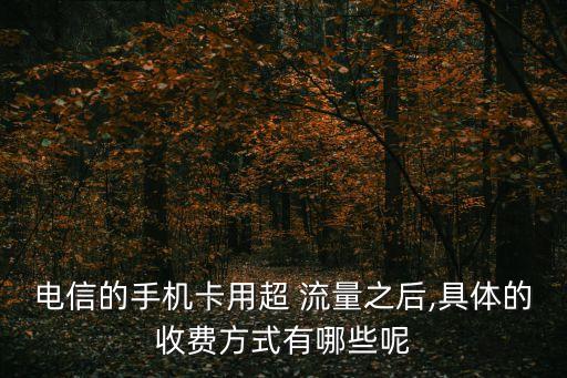 中國電信流量計(jì)費(fèi)