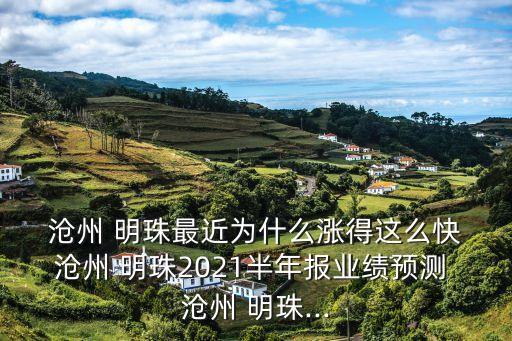 滄州明珠塑料有限公司