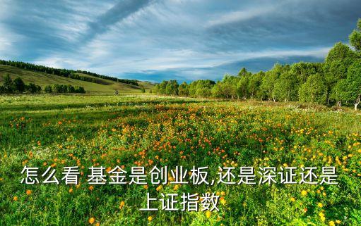 基金看上指深指