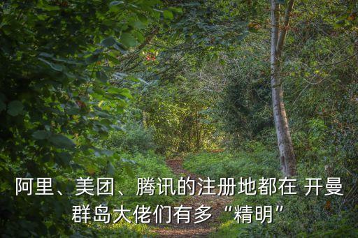 阿里、美團、騰訊的注冊地都在 開曼群島大佬們有多“精明”