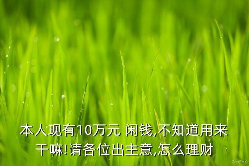 本人現(xiàn)有10萬元 閑錢,不知道用來干嘛!請各位出主意,怎么理財(cái)