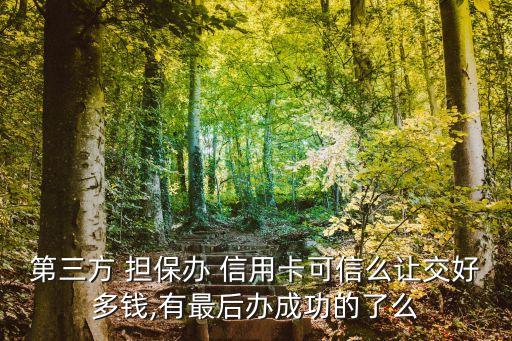 第三方 擔(dān)保辦 信用卡可信么讓交好多錢,有最后辦成功的了么