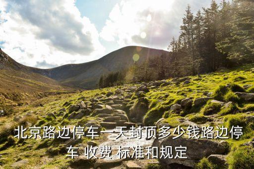  北京路邊停車一天封頂多少錢路邊停車 收費(fèi) 標(biāo)準(zhǔn)和規(guī)定