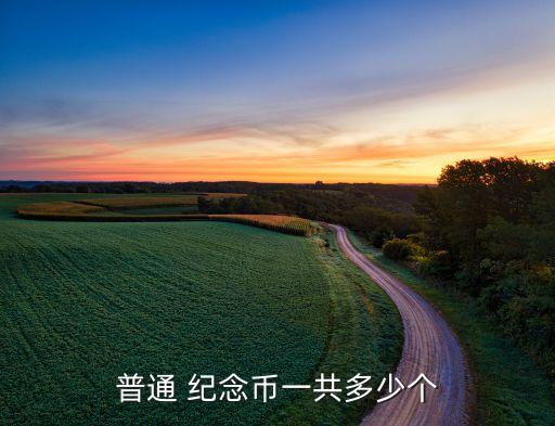 普通 紀(jì)念幣一共多少個(gè)