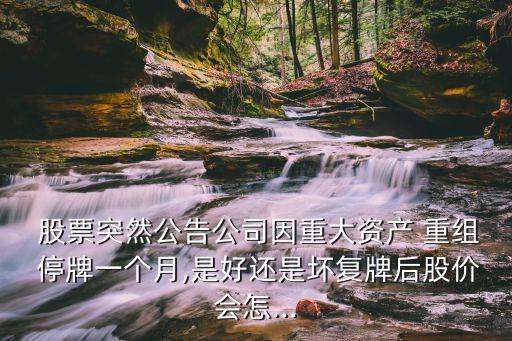 股票突然公告公司因重大資產(chǎn) 重組 停牌一個月,是好還是壞復(fù)牌后股價(jià)會怎...