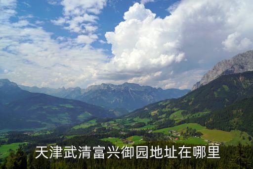 天津運河城投資有限公司022,天津山水城投資有限公司