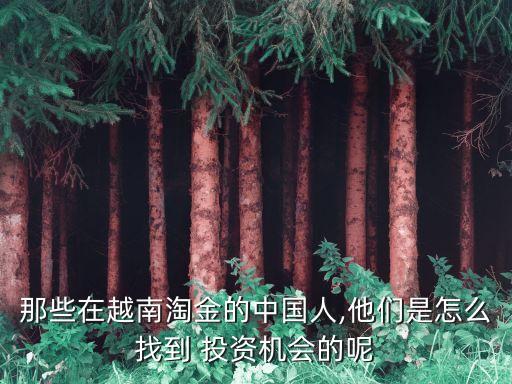 那些在越南淘金的中國人,他們是怎么找到 投資機(jī)會(huì)的呢