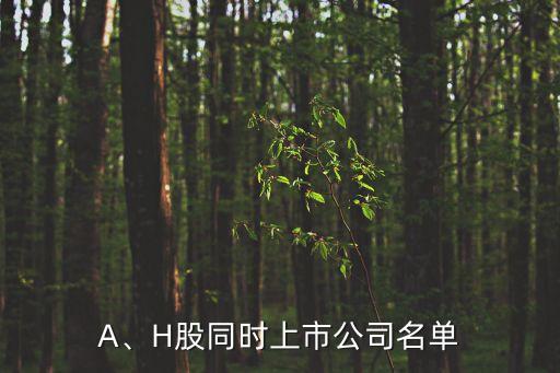 中國(guó)國(guó)航香港股票