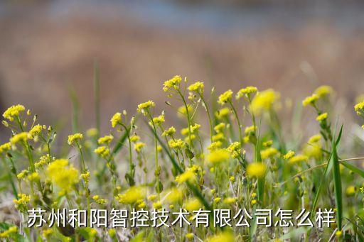 蘇州和陽智控技術有限公司怎么樣