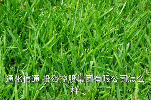東昌投資法人代表,投資方和法人代表有什么區(qū)別