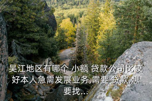 通利農村小額貸款股份有限公司,上海閔行華誼小額貸款股份有限公司