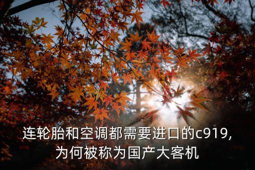 中國(guó)通用飛機(jī)制造,沈陽瑞祥通用飛機(jī)制造