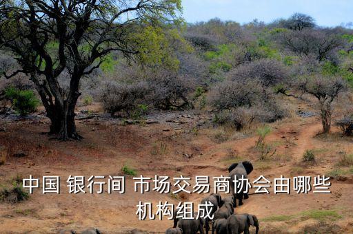 中國 銀行間 市場交易商協(xié)會由哪些機(jī)構(gòu)組成
