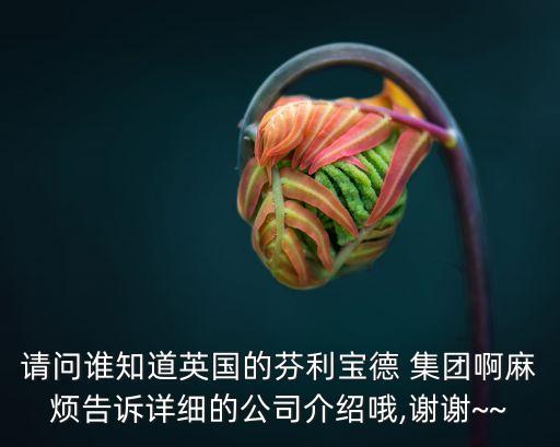 請(qǐng)問誰知道英國的芬利寶德 集團(tuán)啊麻煩告訴詳細(xì)的公司介紹哦,謝謝~~