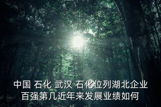 中國(guó) 石化 武漢 石化位列湖北企業(yè)百?gòu)?qiáng)第幾近年來發(fā)展業(yè)績(jī)?nèi)绾? class=