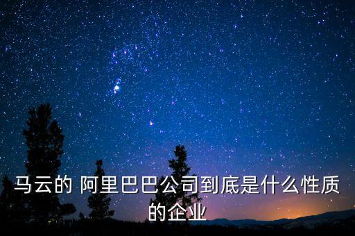 馬云的 阿里巴巴公司到底是什么性質(zhì)的企業(yè)