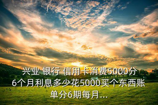  興業(yè) 銀行 信用卡消費5000分6個月利息多少花5000買個東西賬單分6期每月...