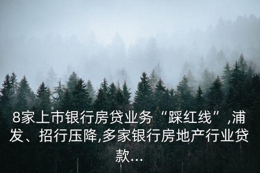 8家上市銀行房貸業(yè)務(wù)“踩紅線”,浦發(fā)、招行壓降,多家銀行房地產(chǎn)行業(yè)貸款...