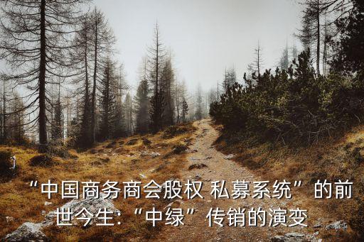 “中國商務(wù)商會(huì)股權(quán) 私募系統(tǒng)”的前世今生:“中綠”傳銷的演變
