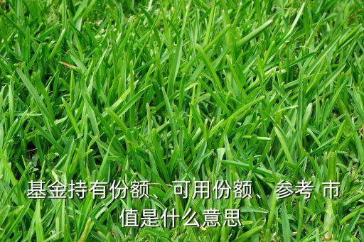  基金持有份額、可用份額、參考 市值是什么意思