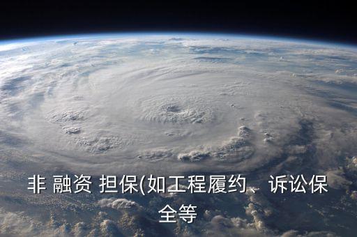 非 融資 擔保(如工程履約、訴訟保全等