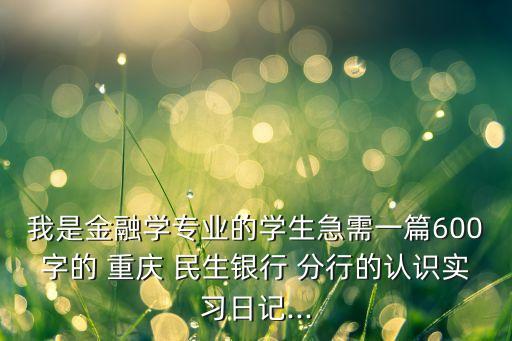 我是金融學(xué)專業(yè)的學(xué)生急需一篇600字的 重慶 民生銀行 分行的認(rèn)識實習(xí)日記...