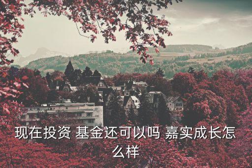現(xiàn)在投資 基金還可以嗎 嘉實(shí)成長怎么樣