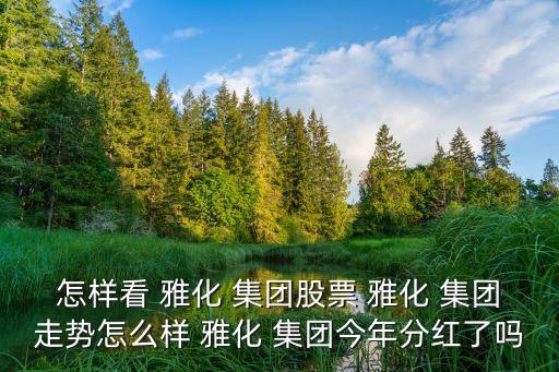 怎樣看 雅化 集團(tuán)股票 雅化 集團(tuán)走勢怎么樣 雅化 集團(tuán)今年分紅了嗎