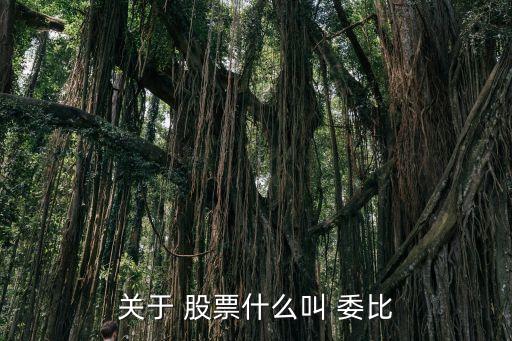 股票委比是什么意思,換手率多少是最佳買(mǎi)入點(diǎn)
