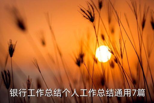  銀行工作總結個人工作總結通用7篇