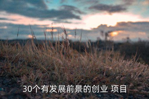 30個有發(fā)展前景的創(chuàng)業(yè) 項目