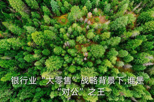  銀行業(yè)“大零售”戰(zhàn)略背景下,誰是“對公”之王