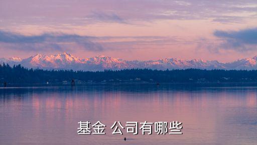  基金 公司有哪些