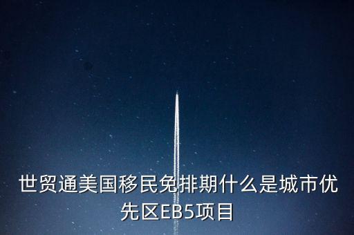 世貿(mào)通集團公司,世貿(mào)集團公司簡介